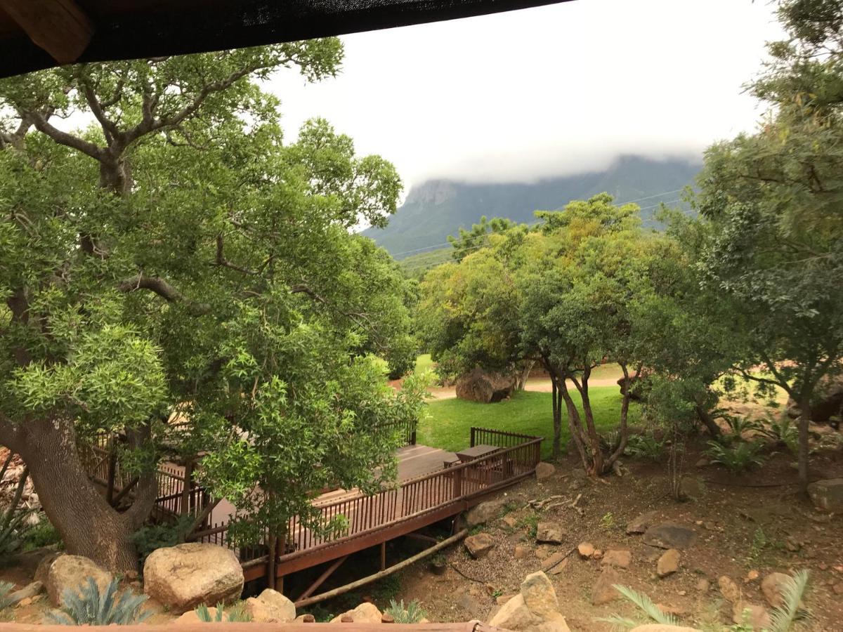 Amafu Forest Lodge Hoedspruit Eksteriør bilde